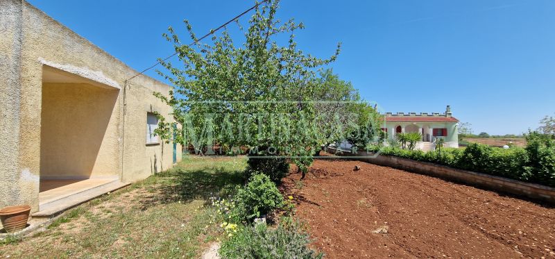 TERRENO 