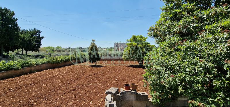 TERRENO 