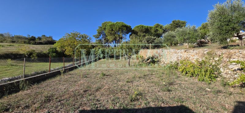 TERRENO 