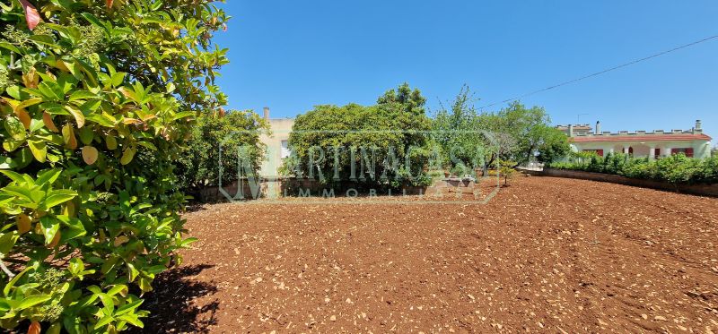 TERRENO 