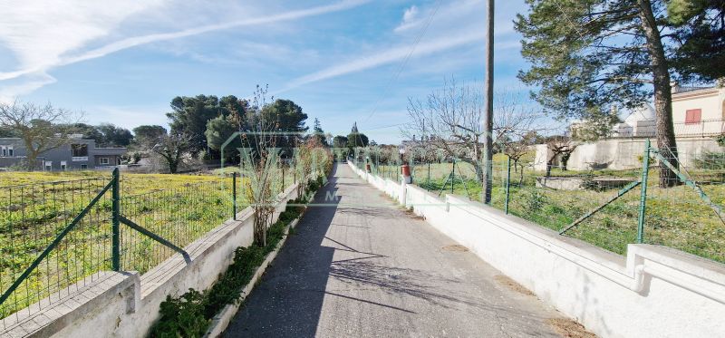 VIALE D'ACCESSO 