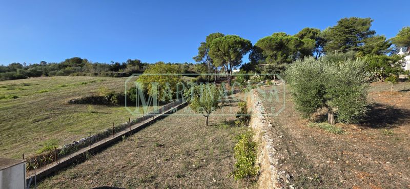 TERRENO 