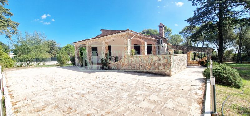 PROSPETTO 