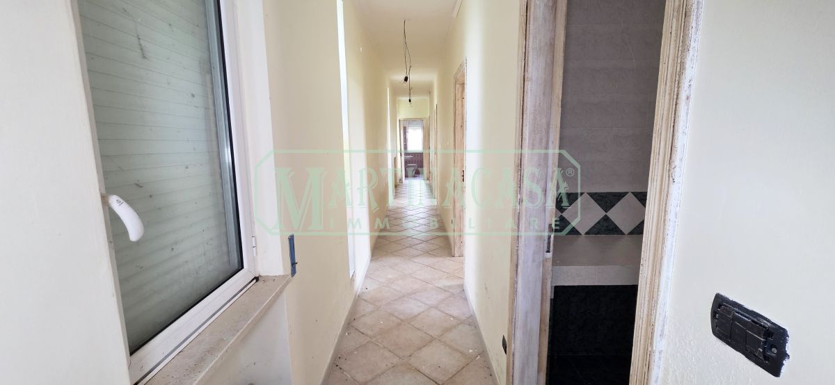 CORRIODOIO CORRIODOIO