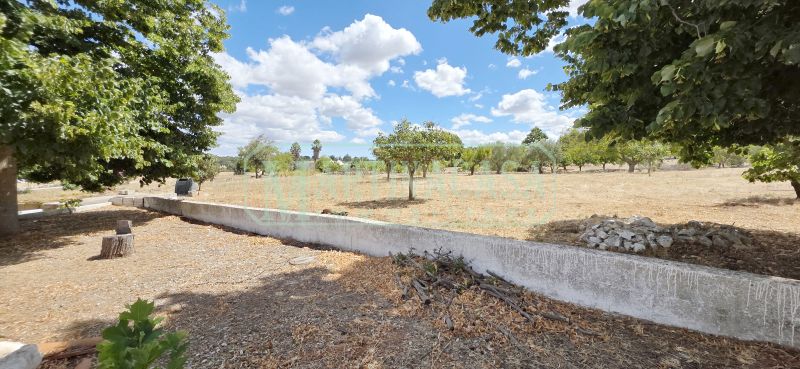 TERRENO 