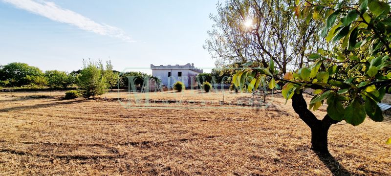 TERRENO 