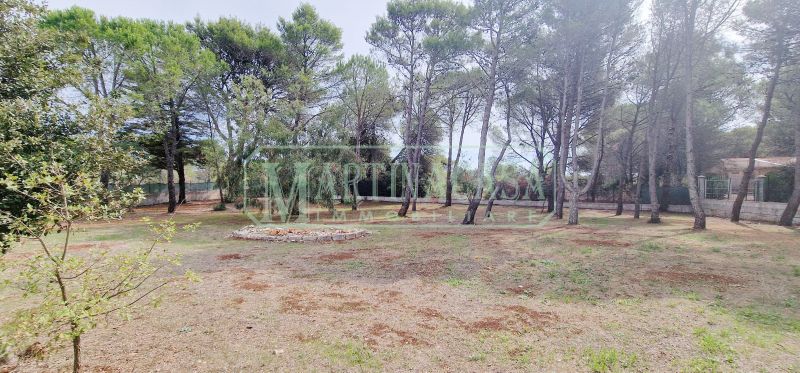 TERRENO 