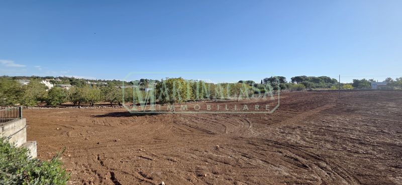 TERRENO 