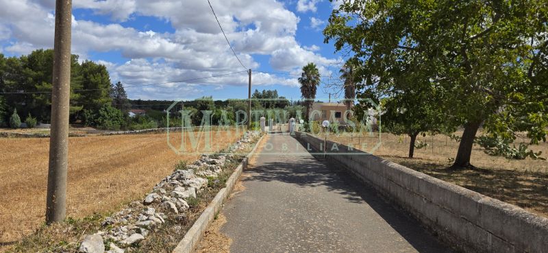 VIALE D'ACCESSO 