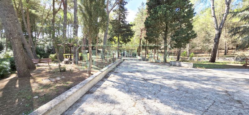 VIALE D'ACCESSO 