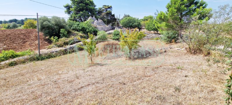 TERRENO 