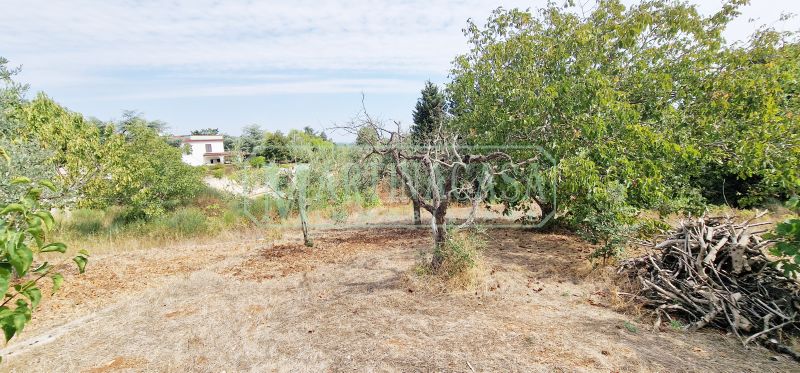 TERRENO 