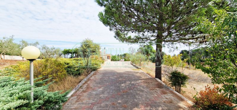 VIALE D'ACCESSO 