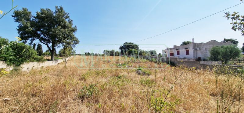 TERRENO 