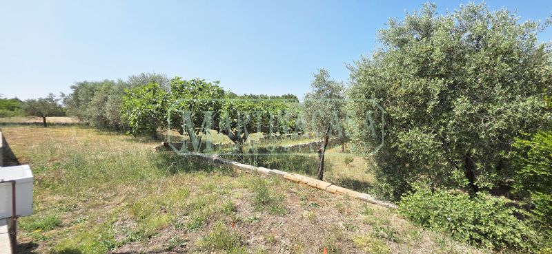 TERRENO 