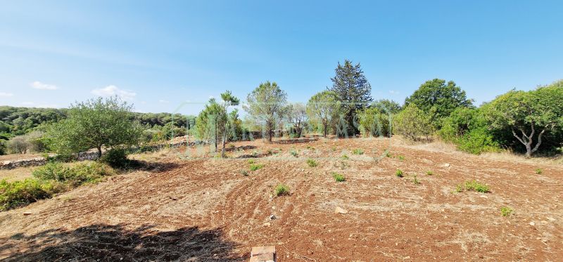 TERRENO 