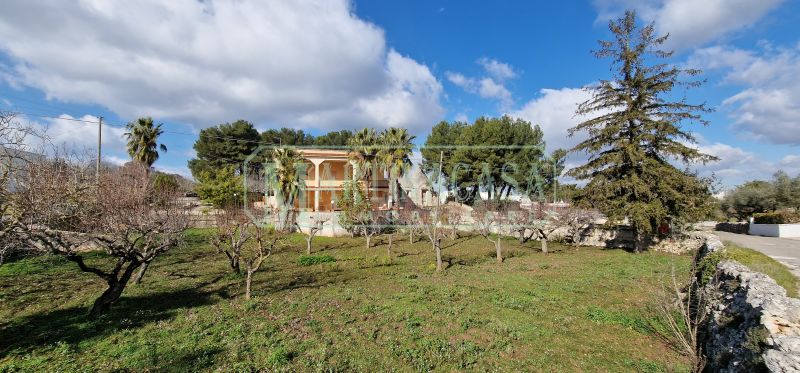 TERRENO 