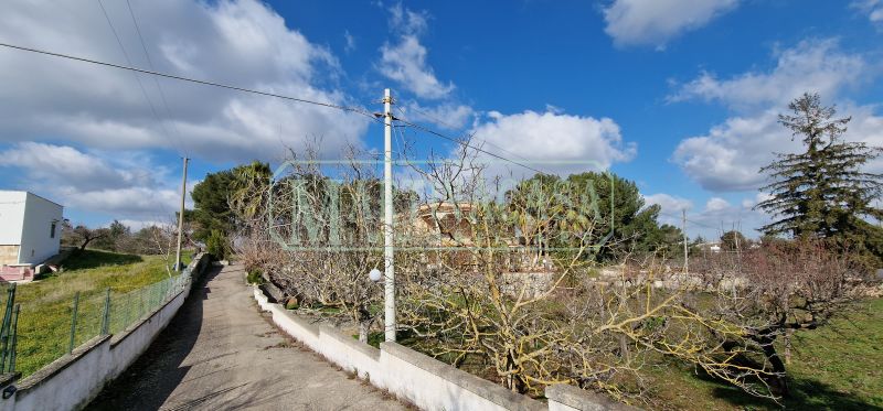 VIALE D'INGRESSO 