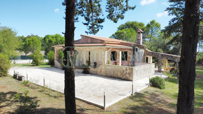 PROSPETTO 