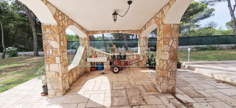 VERANDA 1 