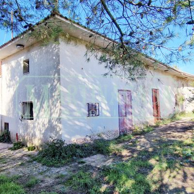 Vendita Villa-Villetta