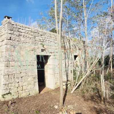 Vendita Rustico-casale-masseria Vendita Rustico-casale-masseria