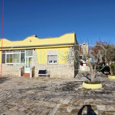 Affitto Appartamento