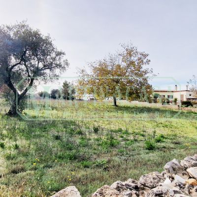 Vendita Terreno Agricolo Seminativo